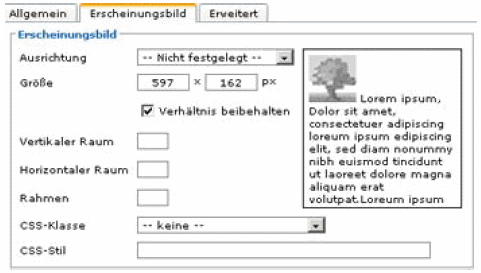 Registerkarteerscheinungsbild.png